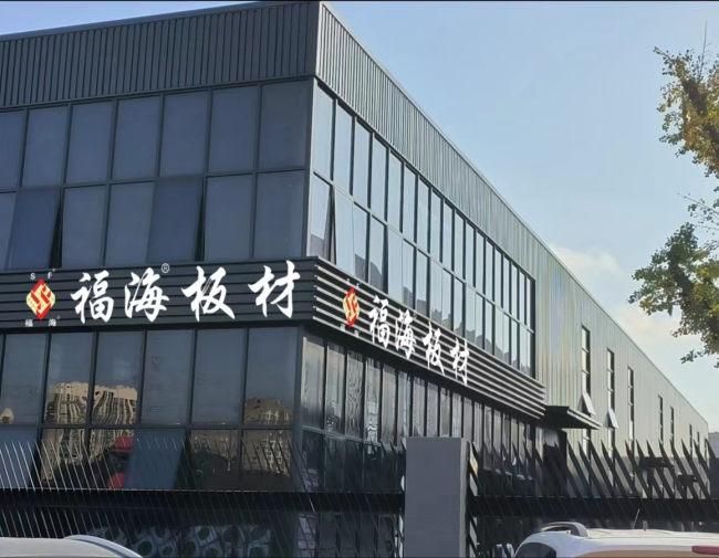見證輝煌：2025 “中品榜”健康板材十大品牌榜單公布(圖6)