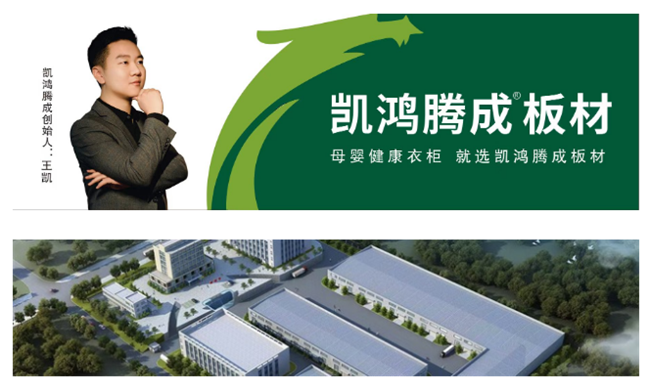 見證輝煌：2025 “中品榜”健康板材十大品牌榜單公布(圖9)