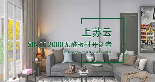 見證輝煌：2025 “中品榜”健康板材十大品牌榜單公布(圖12)