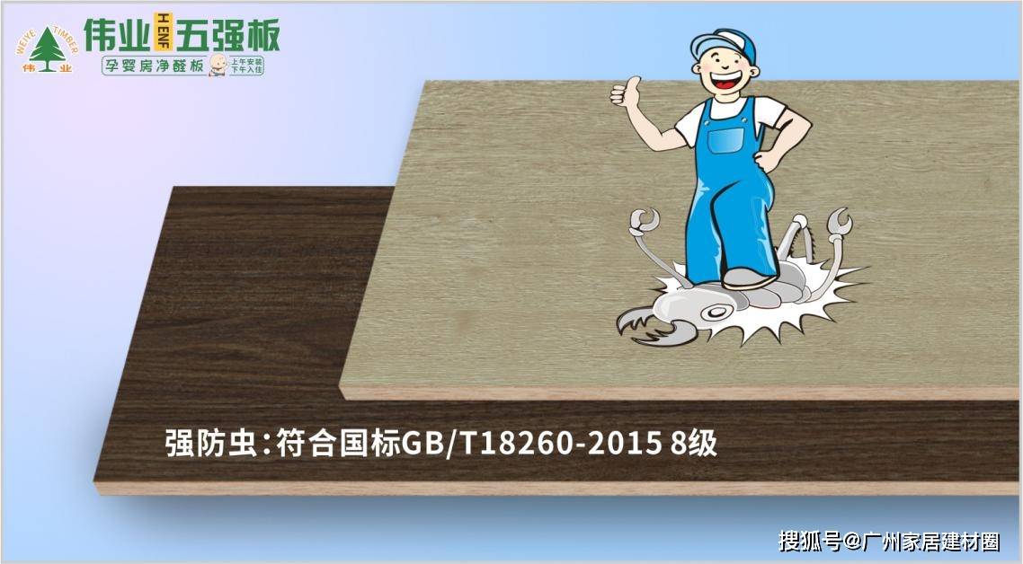 一膠改寫行業(yè)！偉業(yè)五強(qiáng)板讓家裝隱患集體“退網(wǎng)”(圖6)