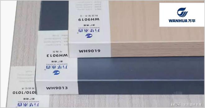 生態(tài)板優(yōu)秀品牌有哪些？2025年生態(tài)板行業(yè)十大優(yōu)秀品牌推薦(圖8)