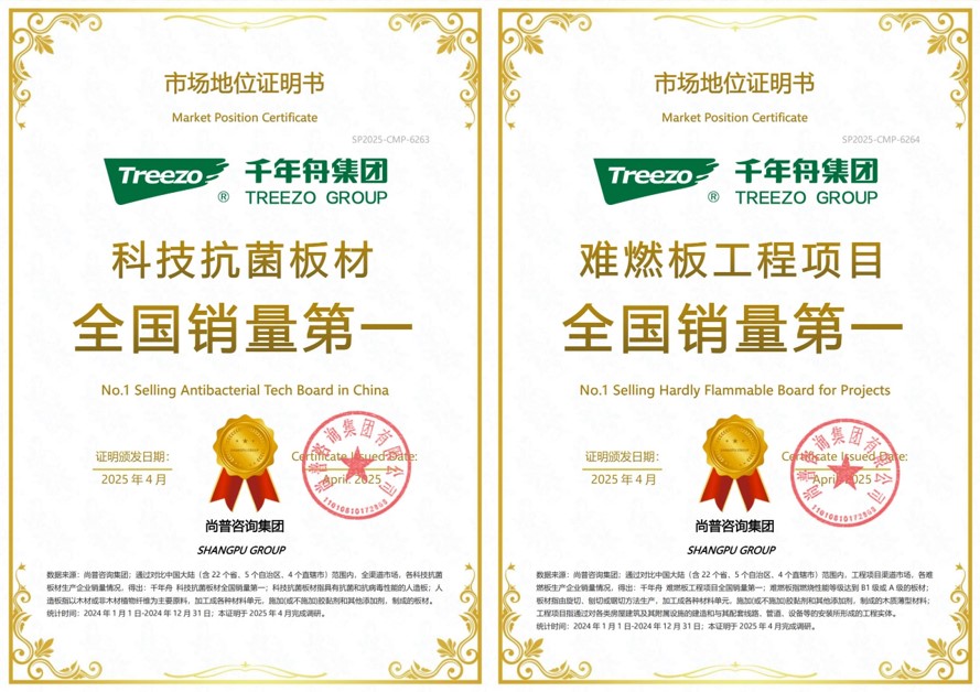 智創(chuàng)十年·碩果盈舟丨四大市場地位認證！千年舟彰顯行業(yè)領(lǐng)導力(圖3)