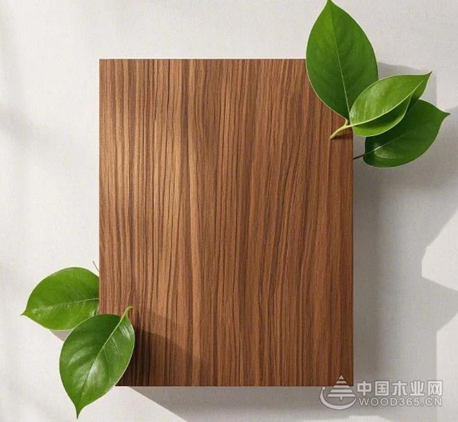 看不見的守護 金楊萬華用無醛卓越品質(zhì)定義健康家居新高度
