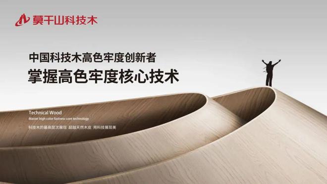 品牌論劍 企業(yè)盛會(huì) 與云峰莫干山相約2025世界品牌莫干山大會(huì)(圖4)