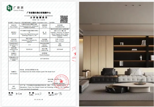 中國石墨烯板材開創(chuàng)者千年舟以科技重塑健康家居新標準(圖4)