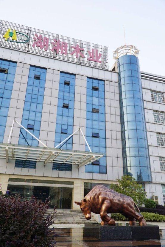 2025板材十大品牌排名發(fā)布引領(lǐng)行業(yè)新潮流！(圖3)