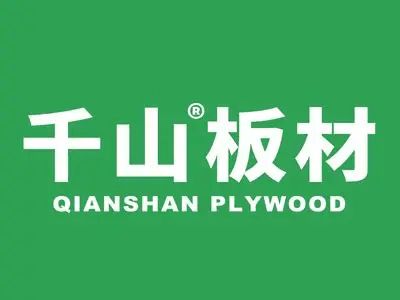 中國板材行業(yè)2025年度權(quán)威榜單發(fā)布：板材十大品牌年度專業(yè)觀察(圖4)